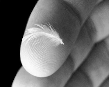 Nieuwe eigenschap ontdekt: Hooggevoeligheid, herken jij het ook?